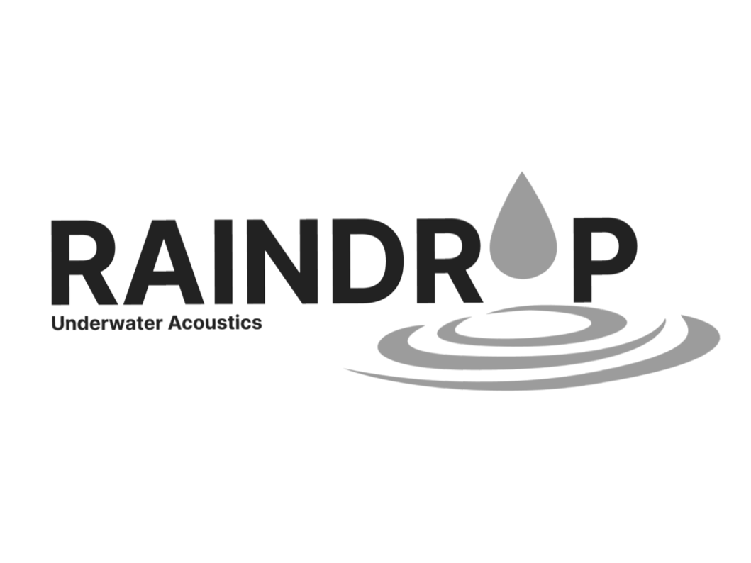 RAINDROP | Level 3 (Soon)